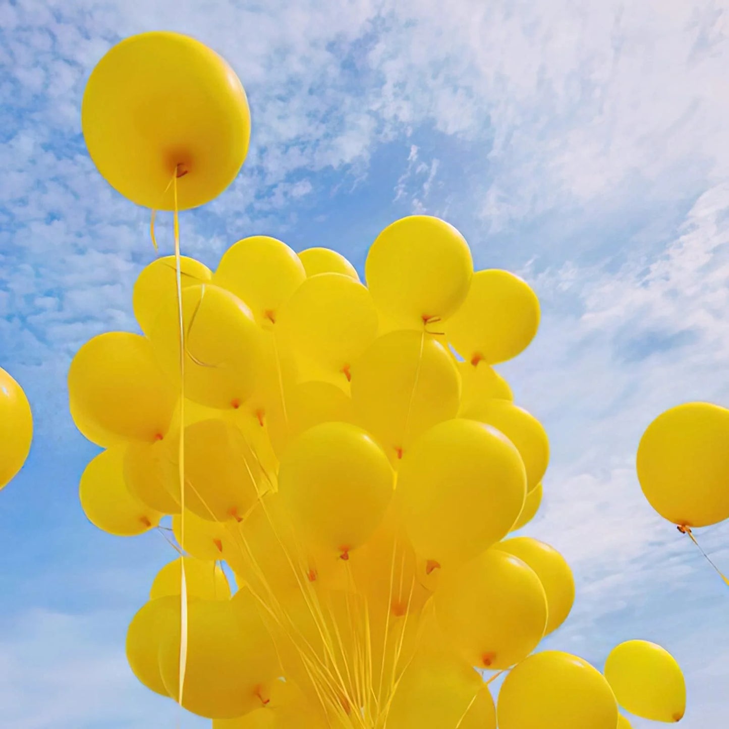 50 pieces -Pack 12 Inch Latex Balloons for Birthday, Wedding, Baby Shower & More | Party Decoration Assortment. - Abid Cart