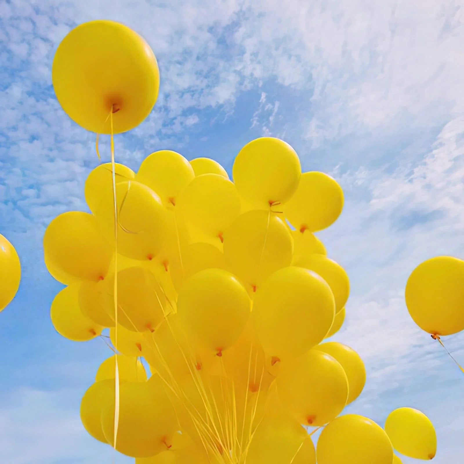 50 pieces -Pack 12 Inch Latex Balloons for Birthday, Wedding, Baby Shower & More | Party Decoration Assortment. - Abid Cart