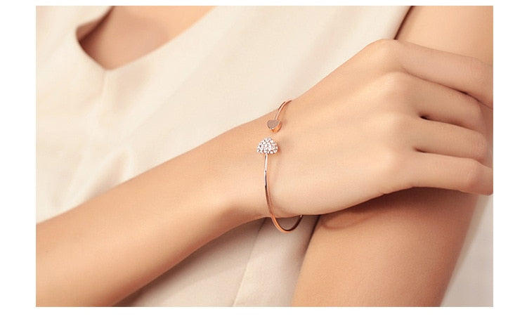 Steel Fun Jewelry Women Luxury Lucky for Female Bracelet Bridal Wedding Engagement Fine Gift. - Abid Cart